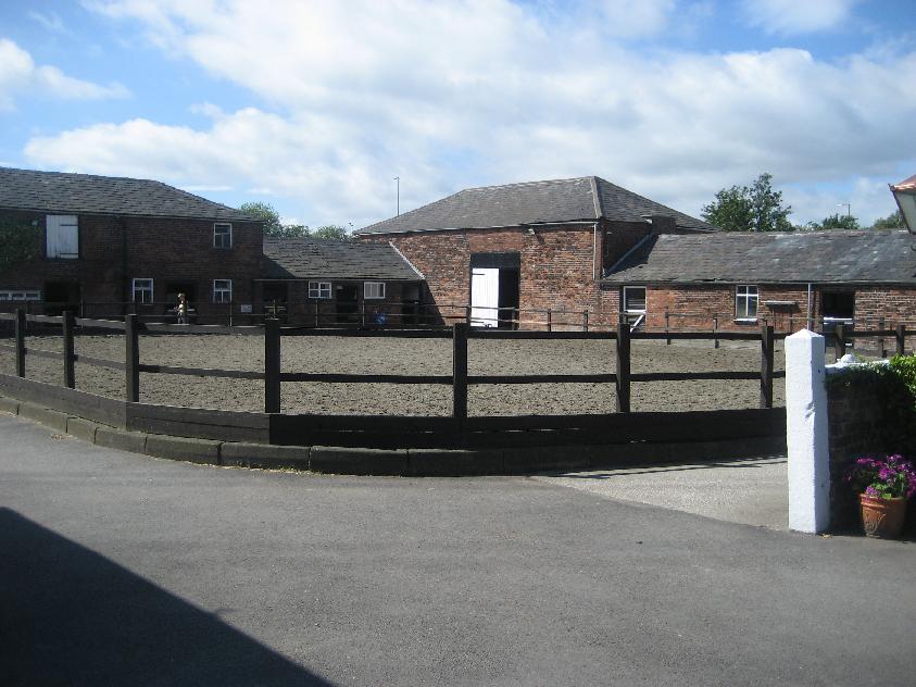 Picture 60 Piture 60